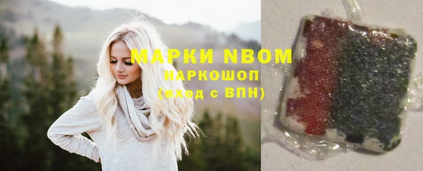мдпв Богданович